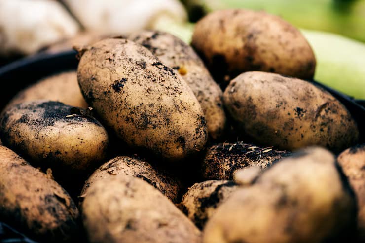 General Crop Health